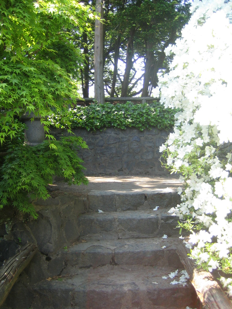 Brooklyn Botanical Garden