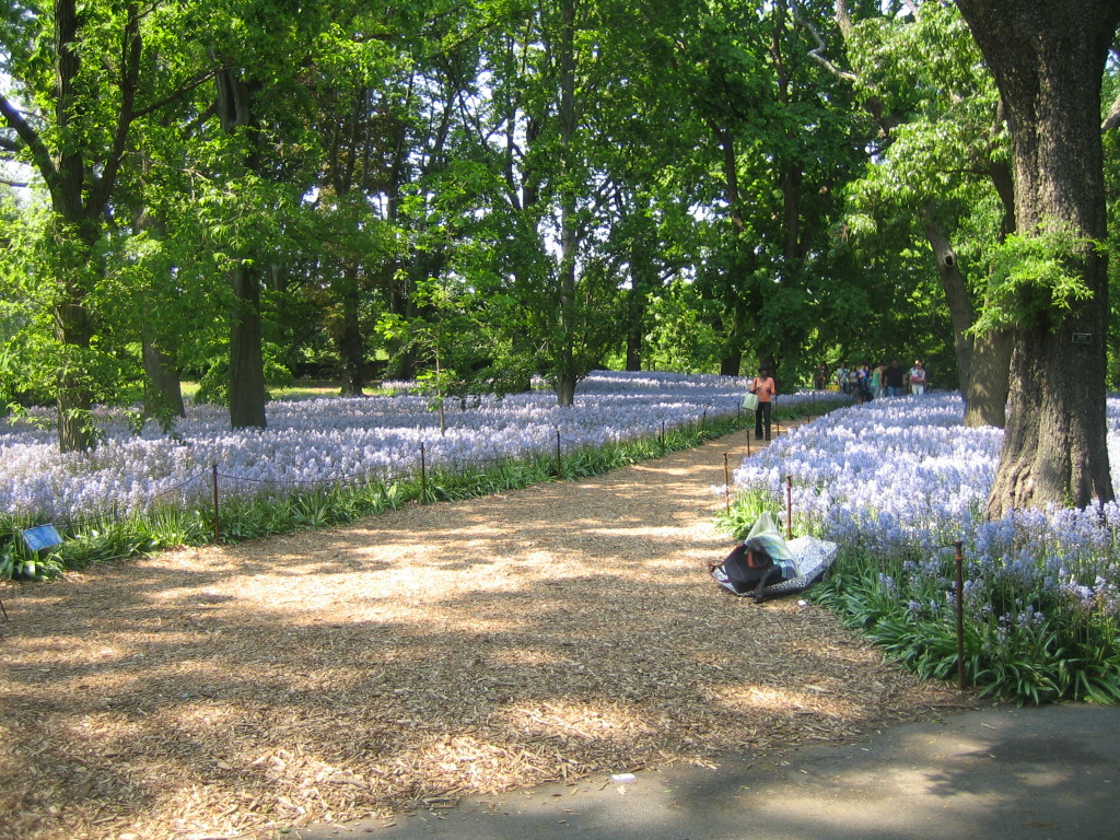 Brooklyn Botanical Garden