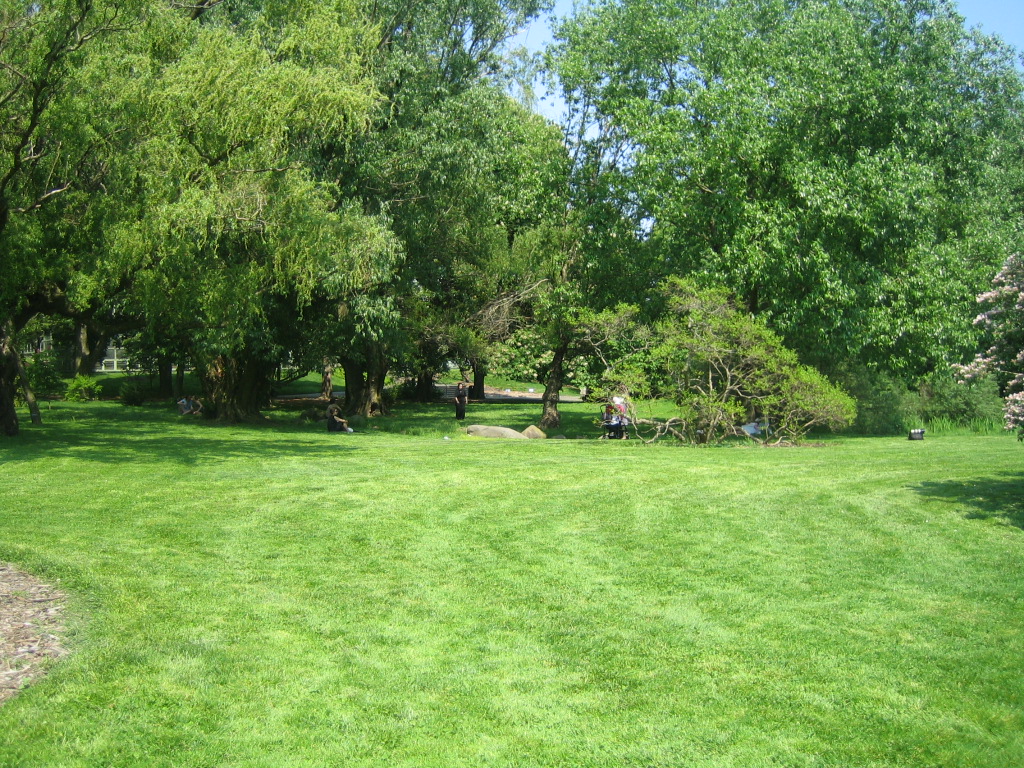 Brooklyn Botanical Garden