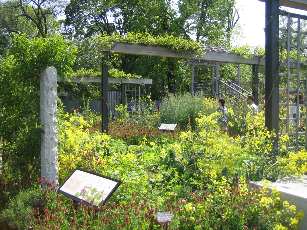 Brooklyn Botanical Garden
