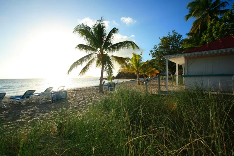 STT006.jpg
