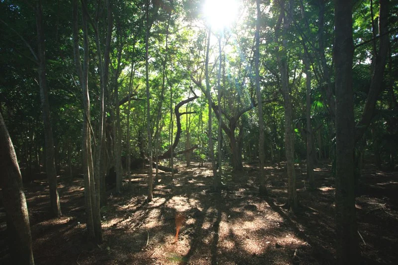 STT026.jpg