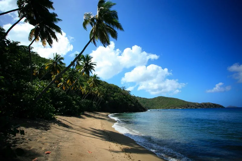 STT034.jpg