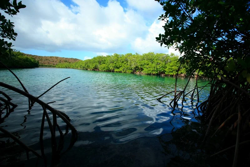 STT045.jpg