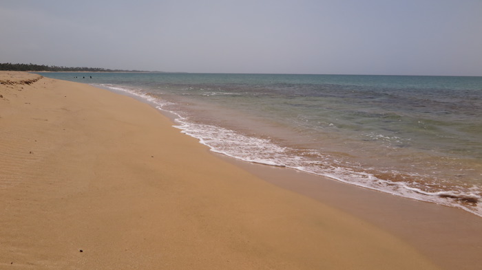 IMG_4262.jpg