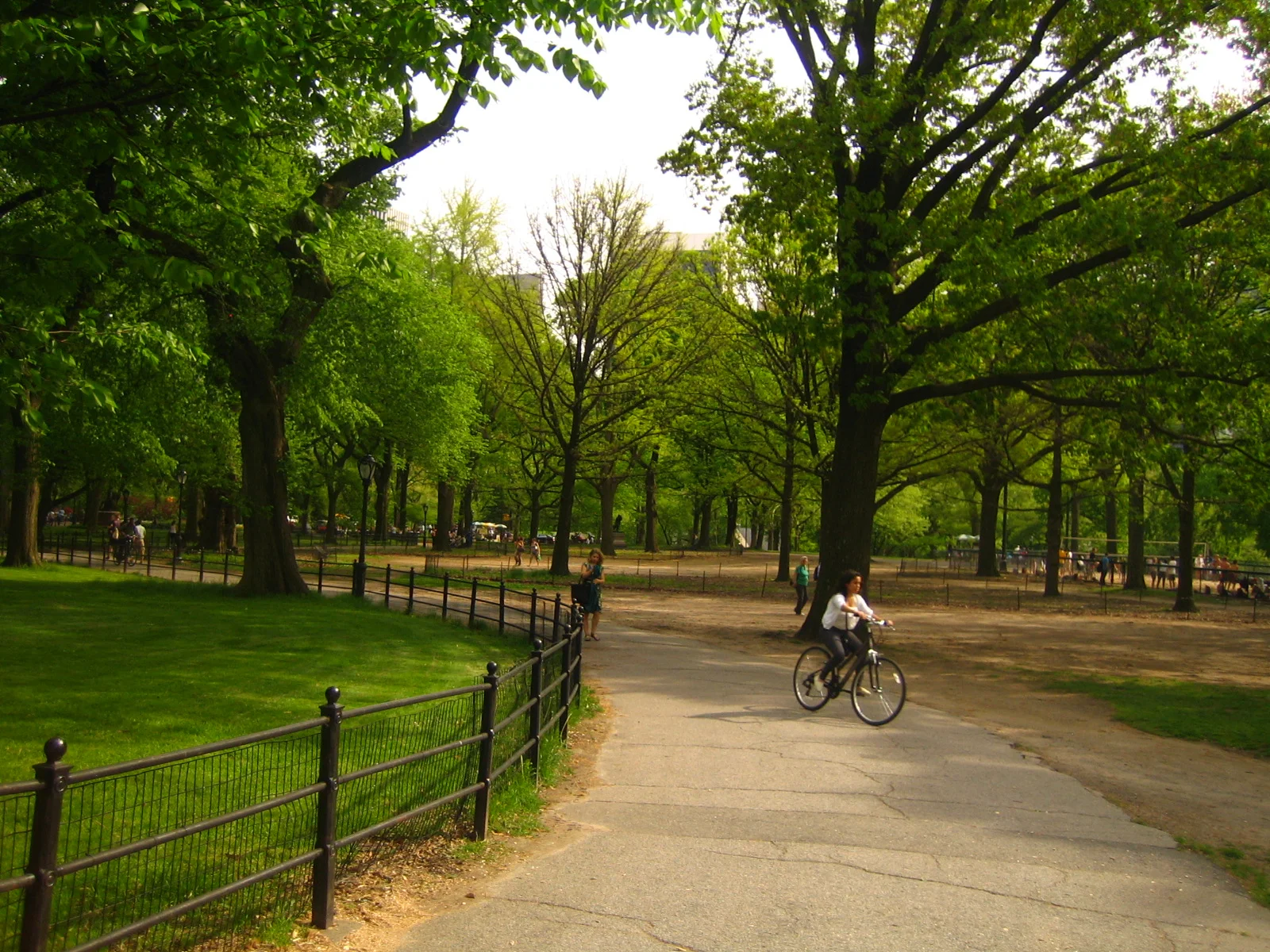 Central Park