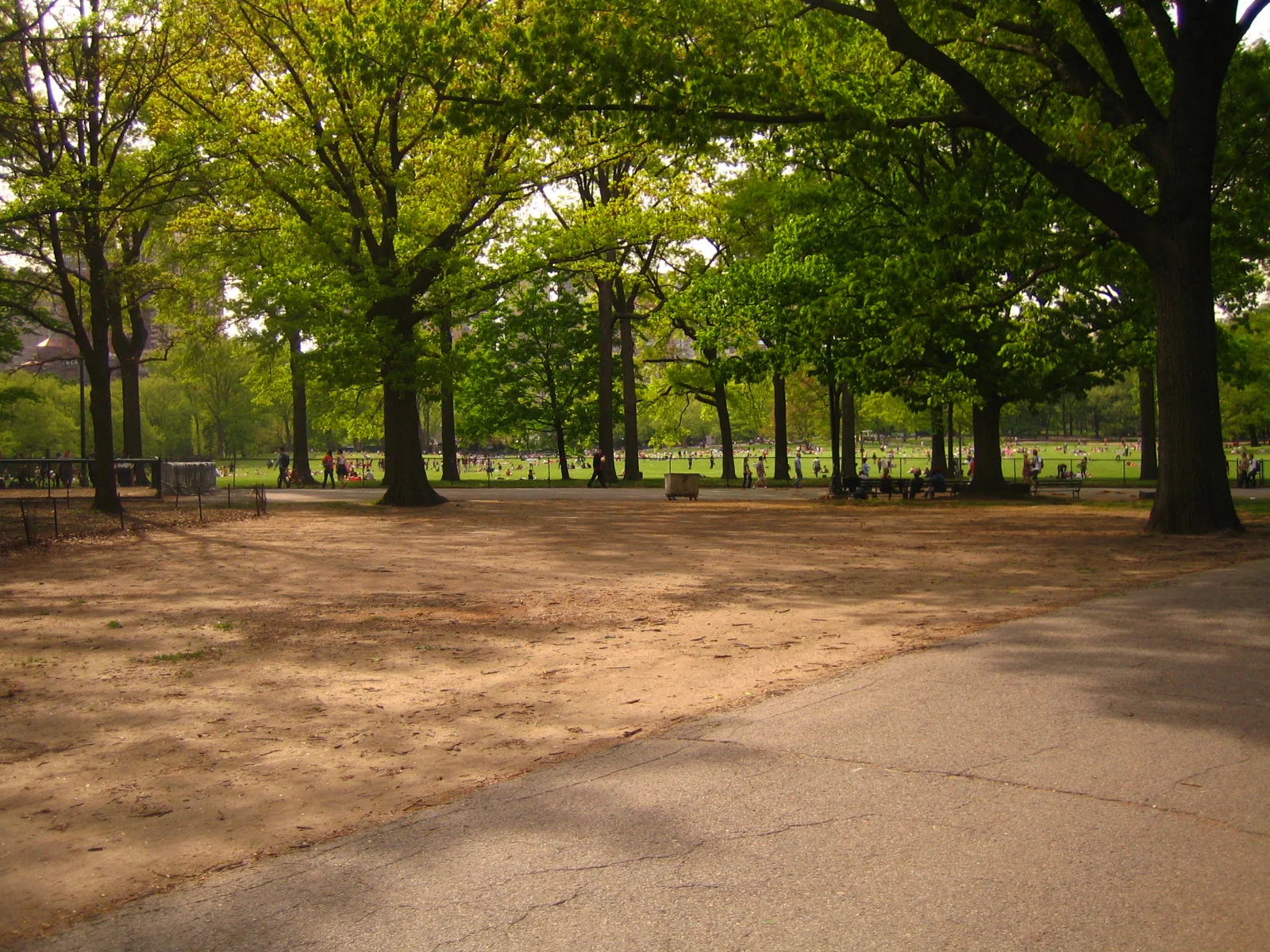 Central Park