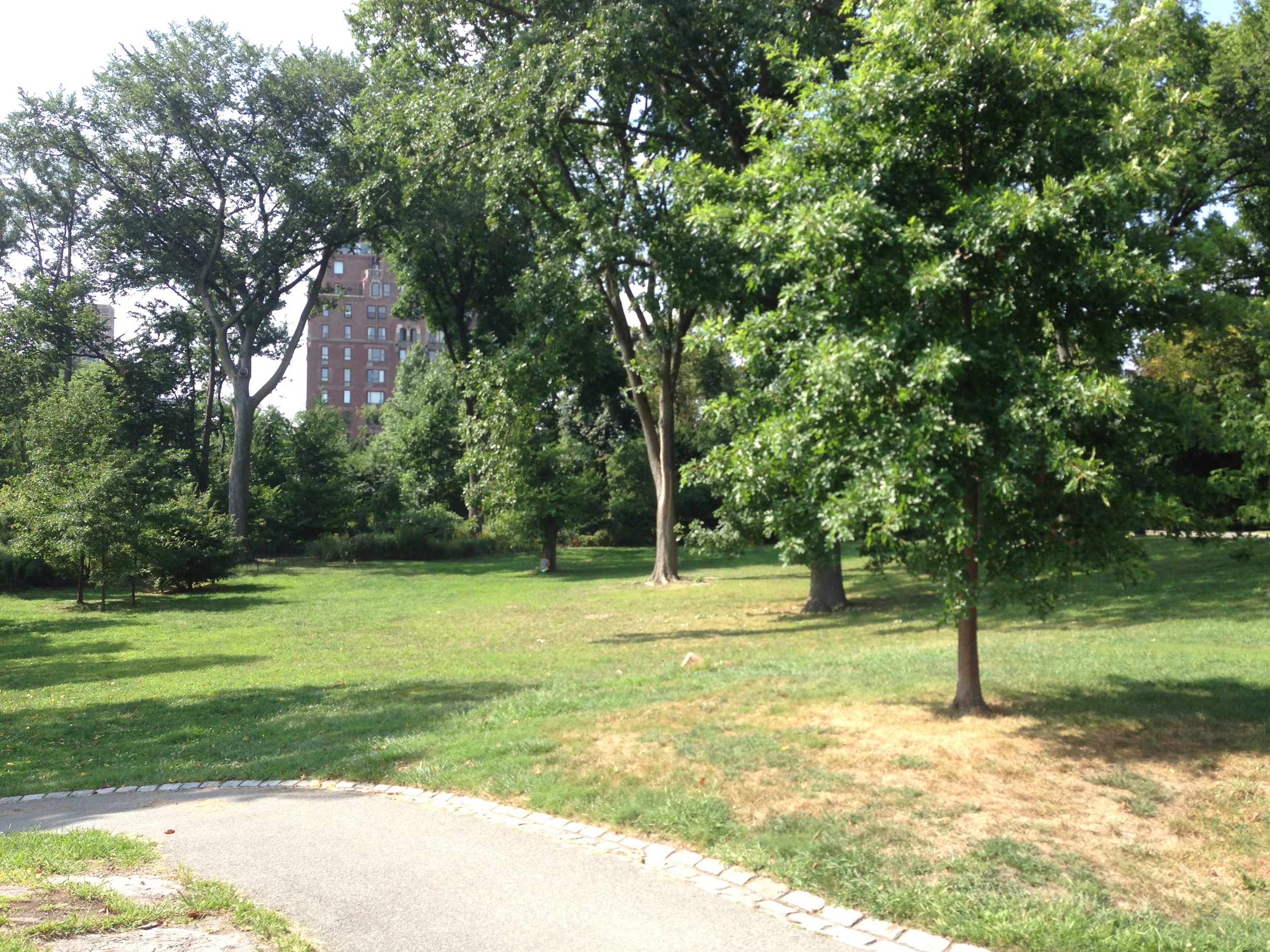 Central Park