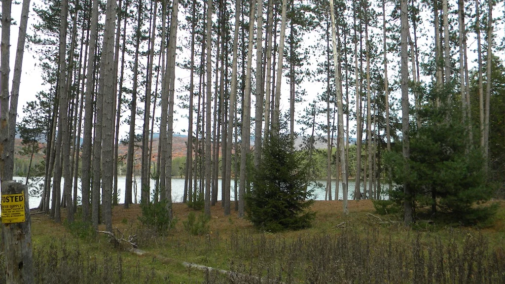 Cooper Lake, Woodstock