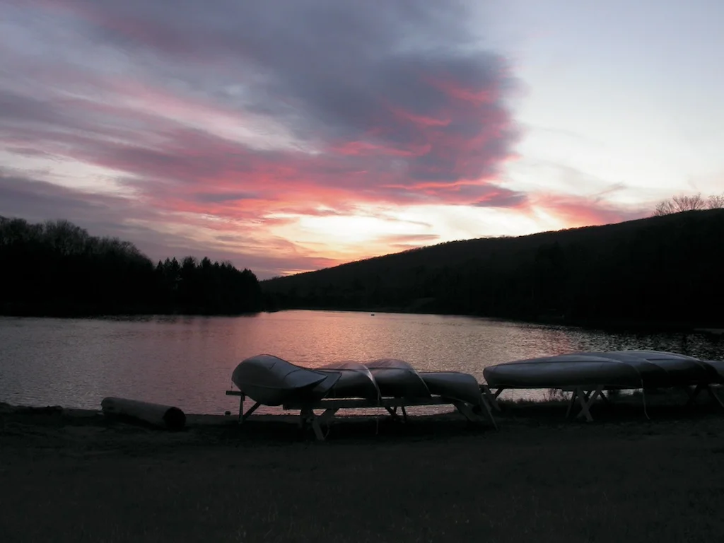 2010 Woodstock FIlm Festival