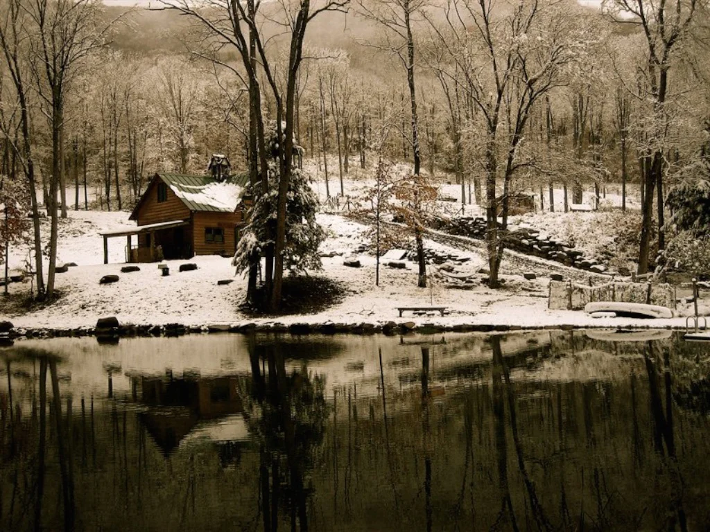 Holz Farm Jennifer Holz
Redjen@hvc.rr.com
(845) 688-5212