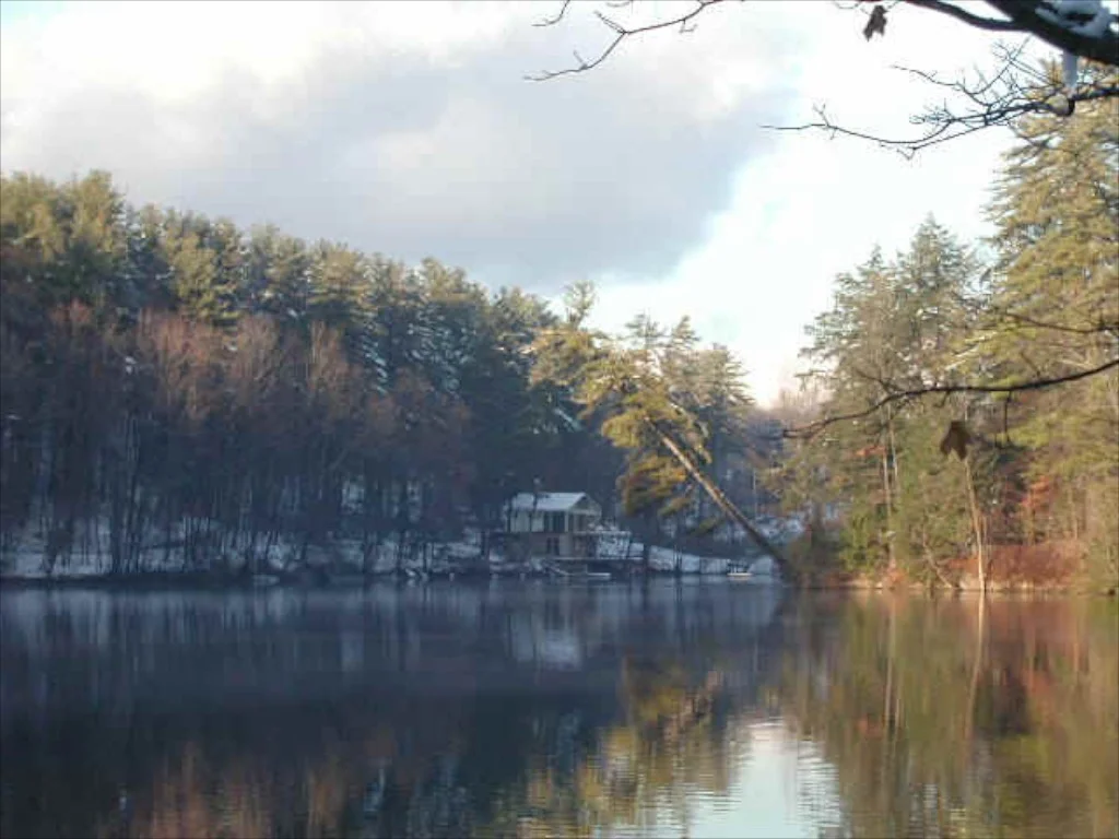 Leaning Pine Location Contact
Gregory Coster
568 DeWitt Mills Road
Kingston, NY 12401
845.339.7309
cell 917..647.2340
gregory@leaningpine.com