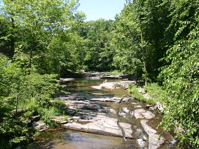MILLSTREAM.jpeg