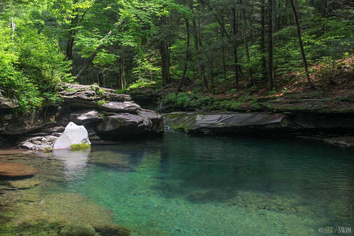 Peekamoose-Blue-Hole-1759.jpg