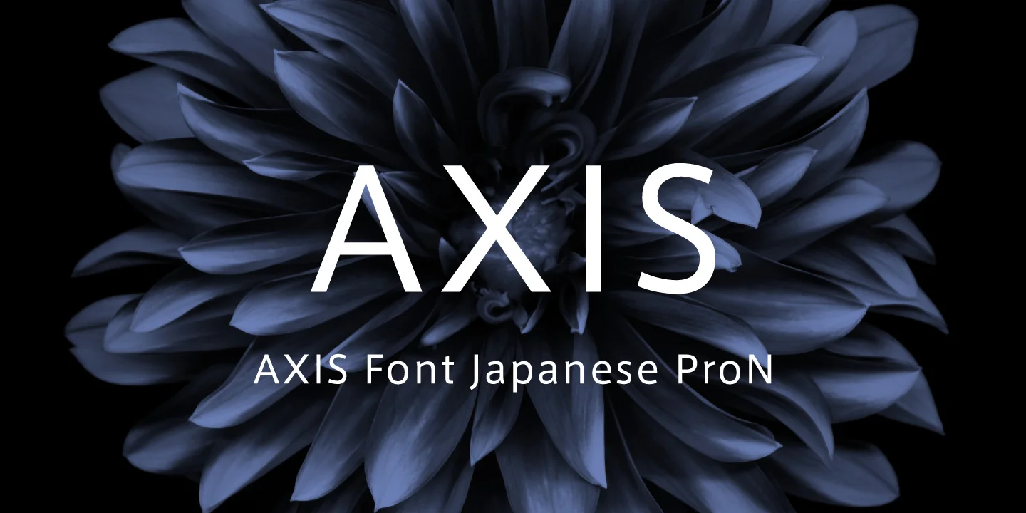 AXIS Font Japanese ProN_01.jpg