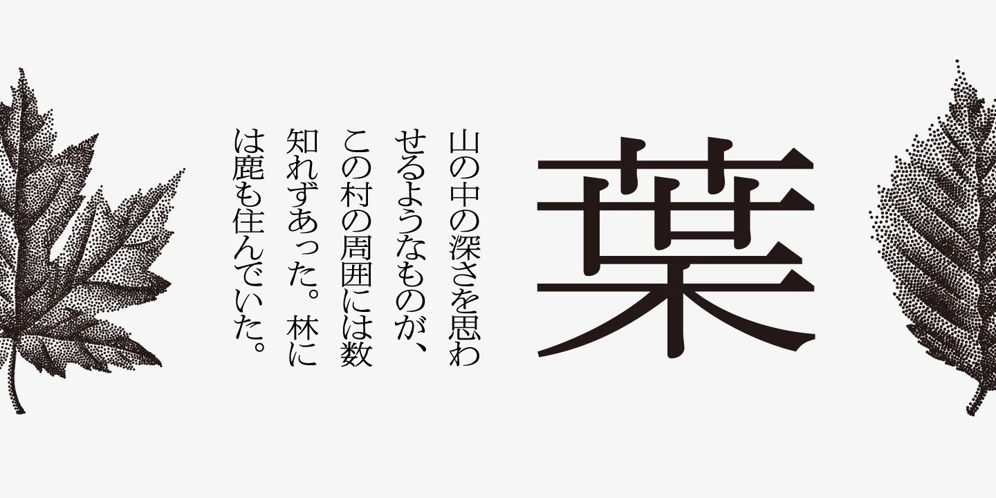 Iwata-News-Mincho_02.jpg