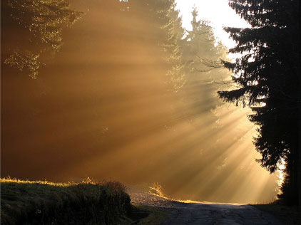 Channeling - The Great Deluge of Now - Featured & Post Full Image - DO NOT DELETE