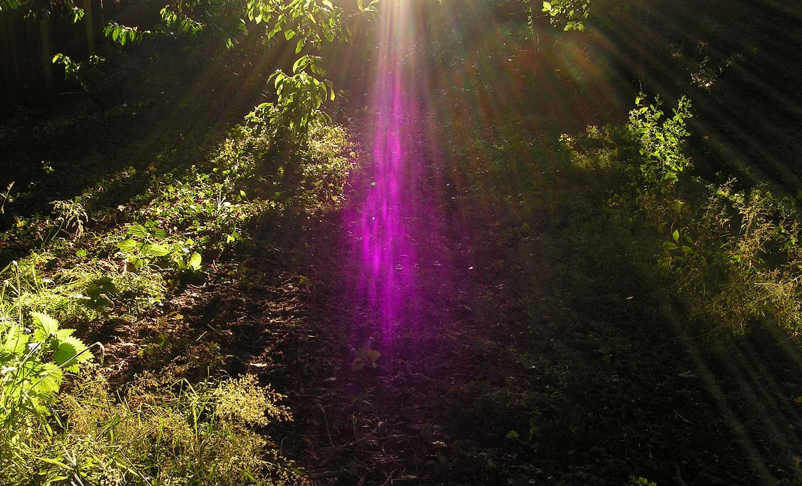 Blog - Burning Violet - DO NOT DELETE