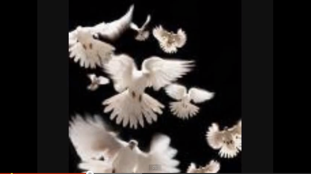 Channeling - Message from The Reign of Peace - Featured Image - DO NOT DELETE