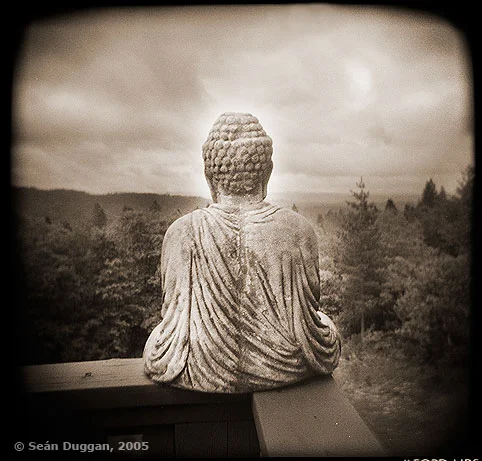 buddha_with_view