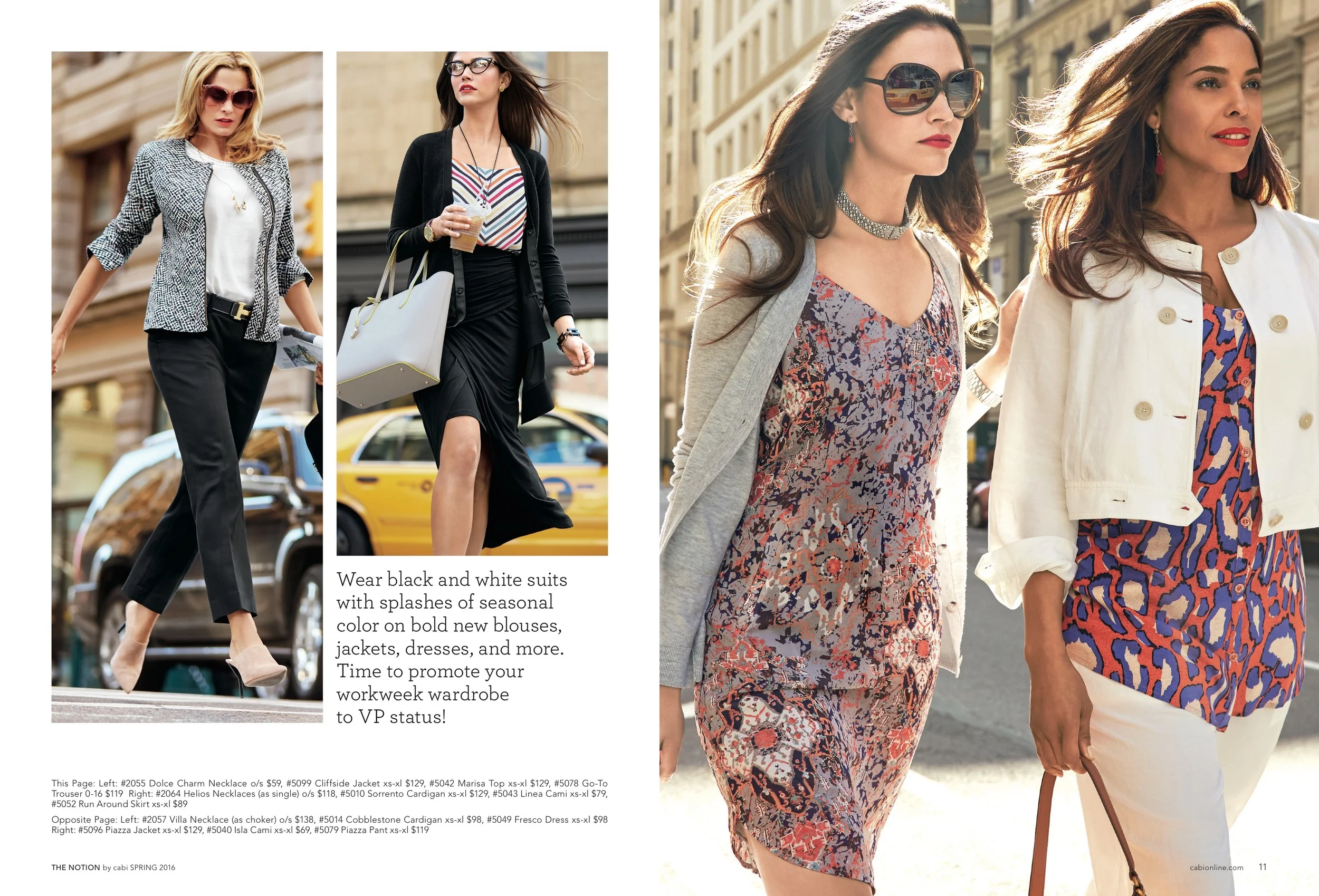 The_Notion_S16 8.jpeg