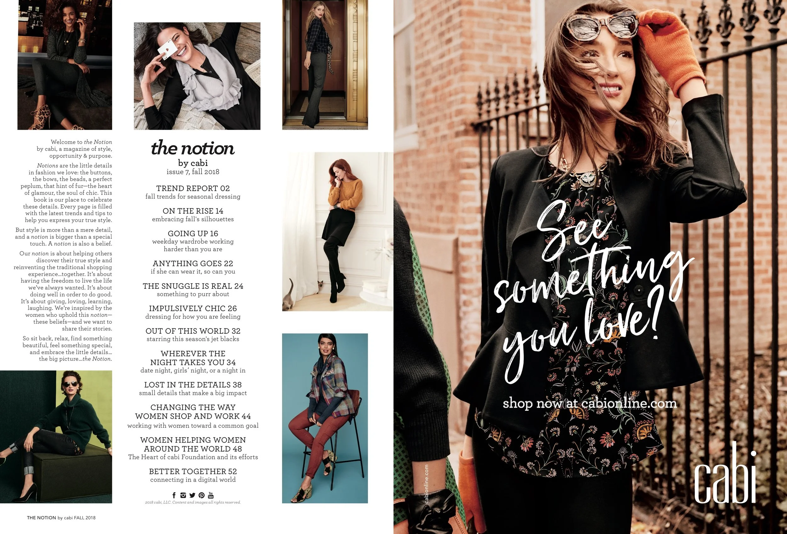 F18_cabi_Notion_Final_RS_HIRES 2-2.jpeg