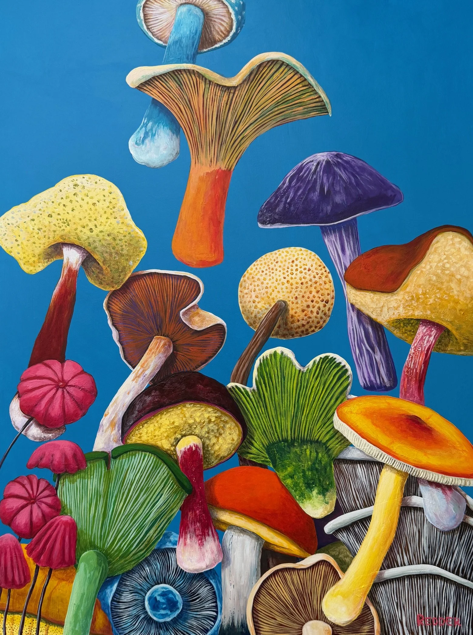 Fungal Bloom