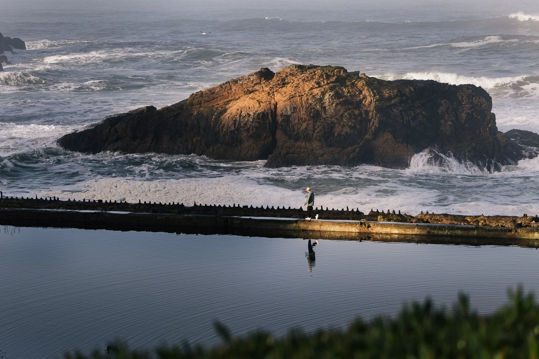 Scott_Wild_HOKA-SF-11.jpg