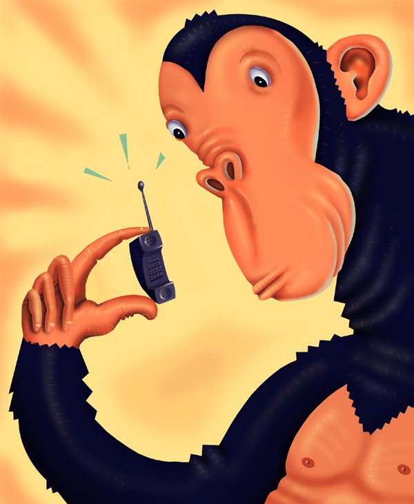 2000, Portfolio work