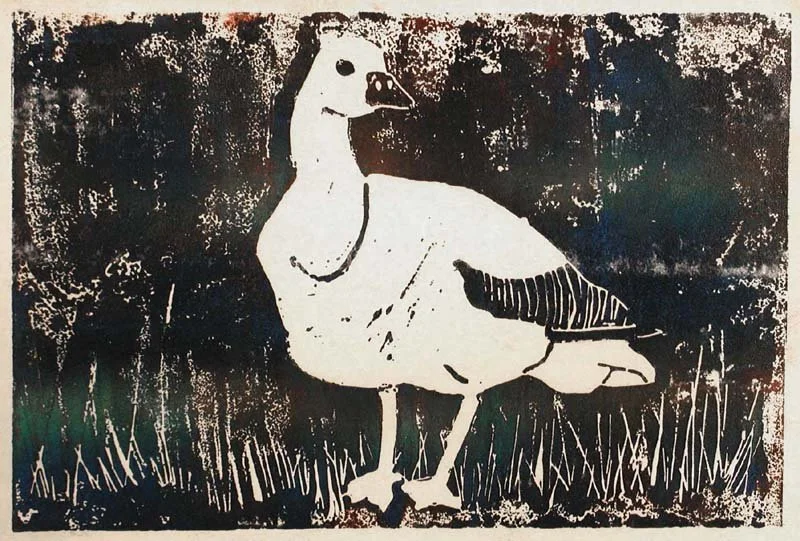 0005 duck.jpg