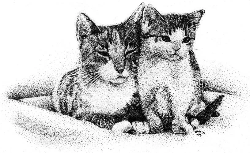 0014 cats.jpg