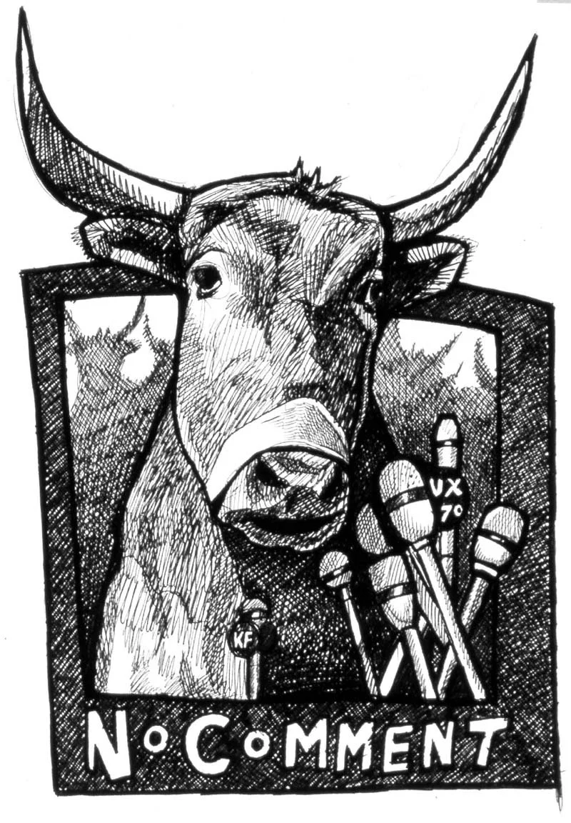 0065 bull.jpg