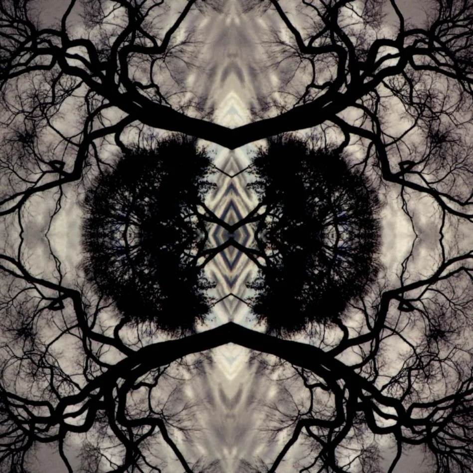 Sonic Mandala.jpg