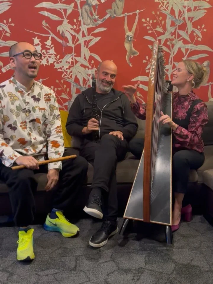 Seasoned professionals 

November 7, 2026
Silkroad Upclose Trio
Guild Hall in East Hamptons
