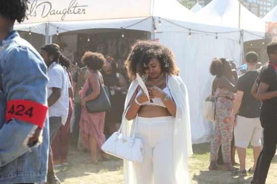 Afropunk, Brooklyn, 2016