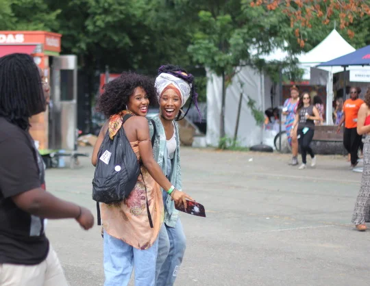 Afropunk, Brooklyn, 2015