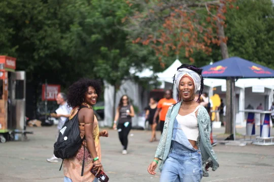 Afropunk, Brooklyn, 2015
