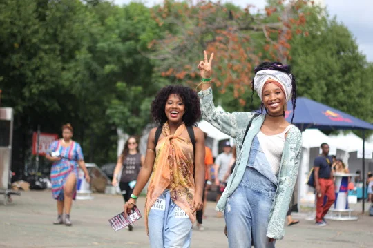 Afropunk, Brooklyn, 2015