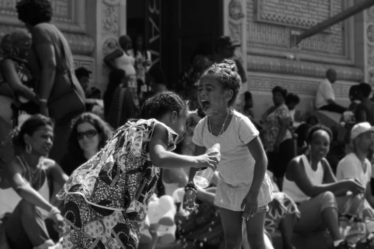 ( Photography ) Dance Africa, Brooklyn, 2015