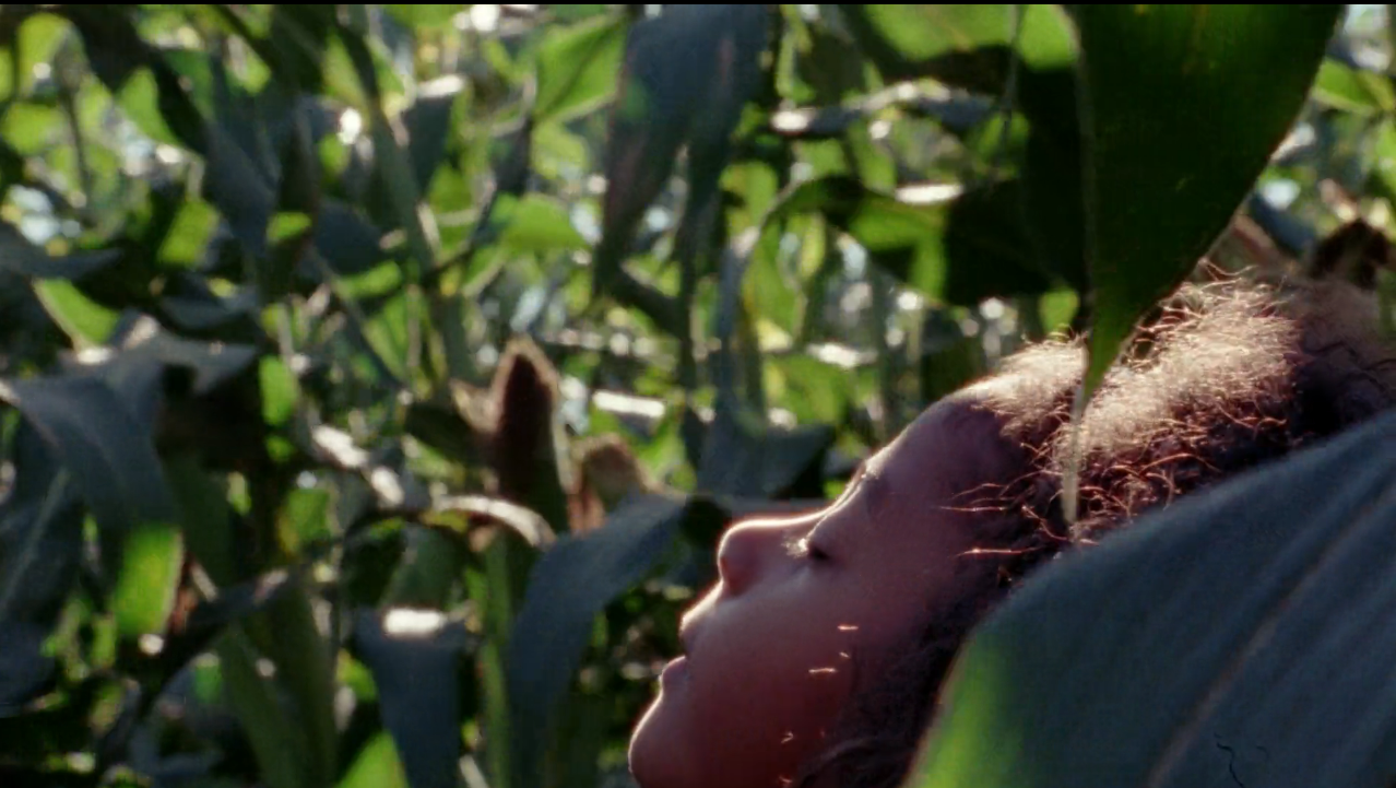 (Film) Still from " Brother ", a 3 min short film without dialogue written and directed by Sontenish. 