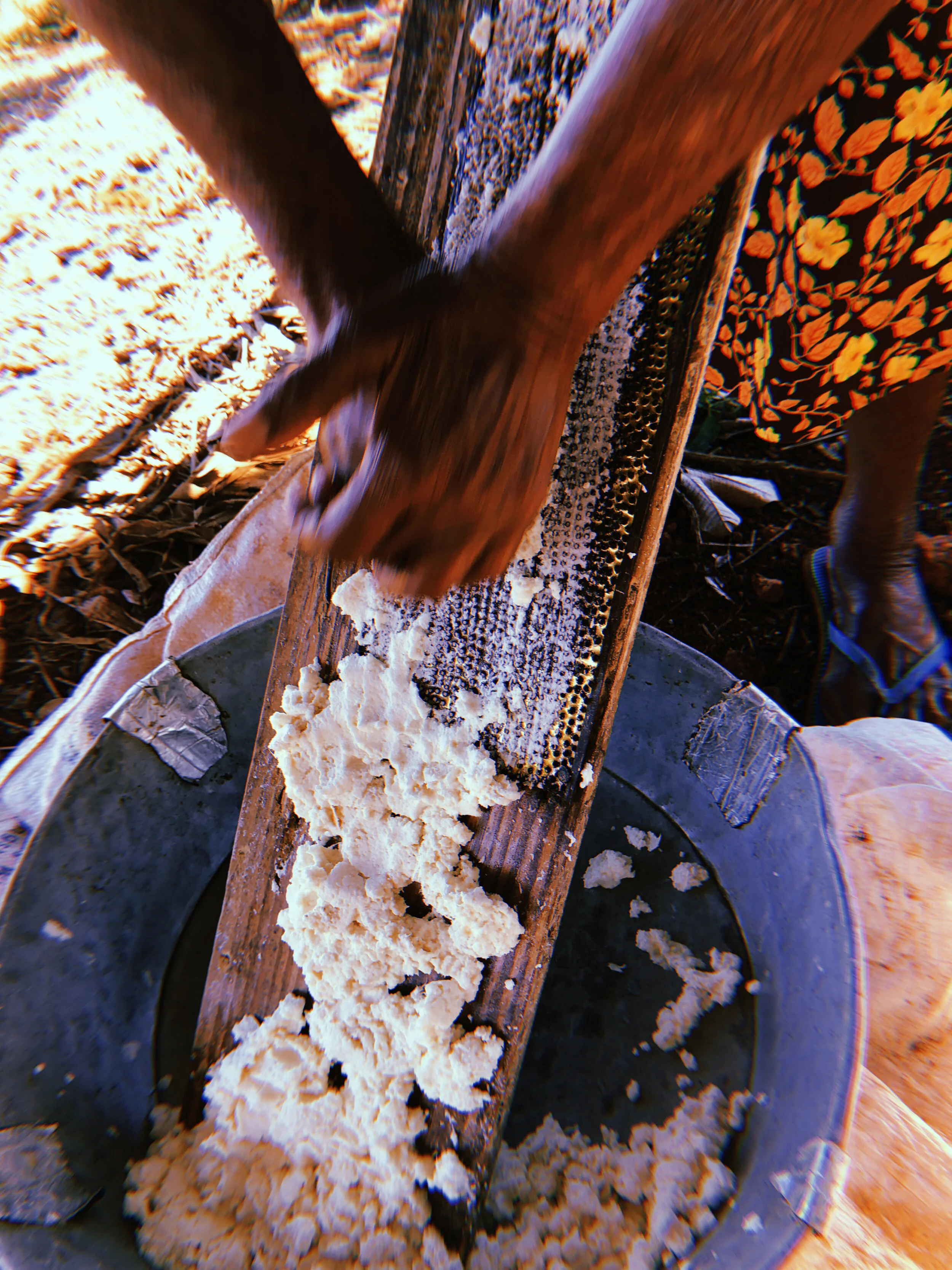 Making Bammy