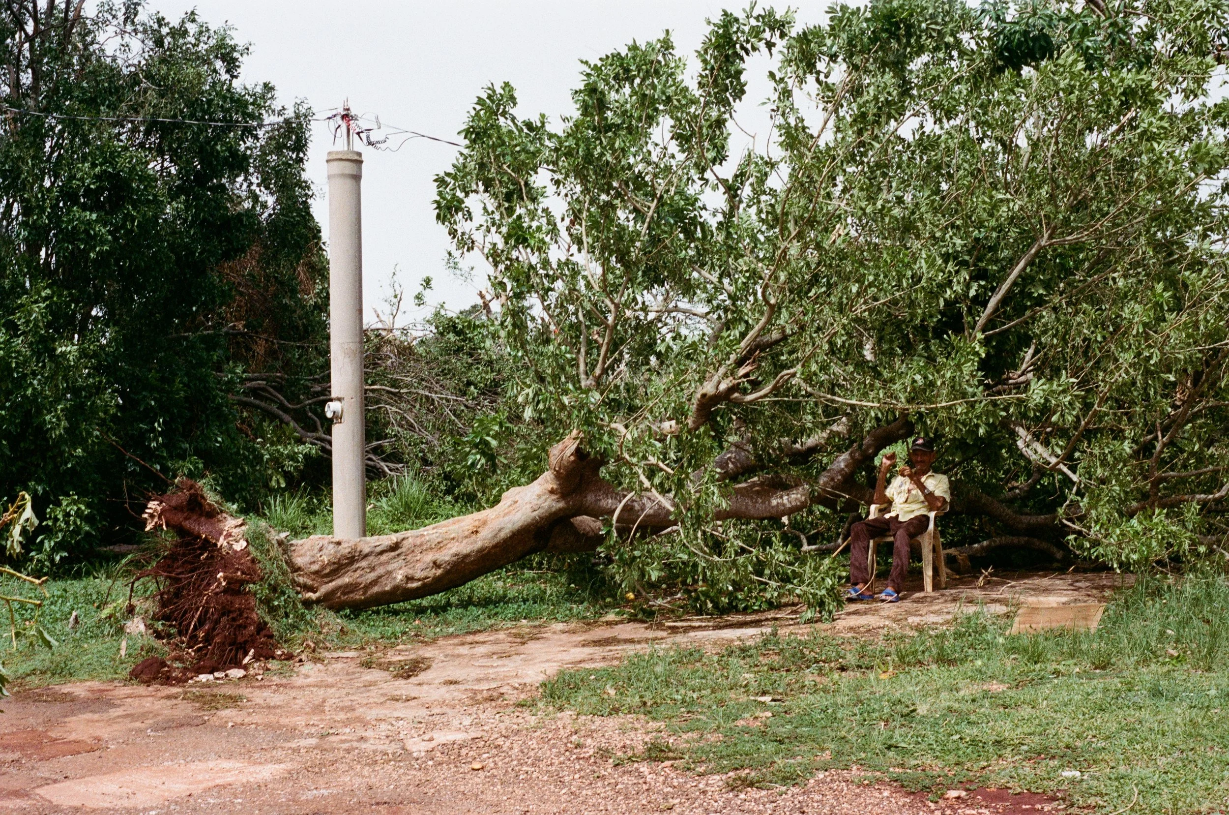 Morning After Beryl