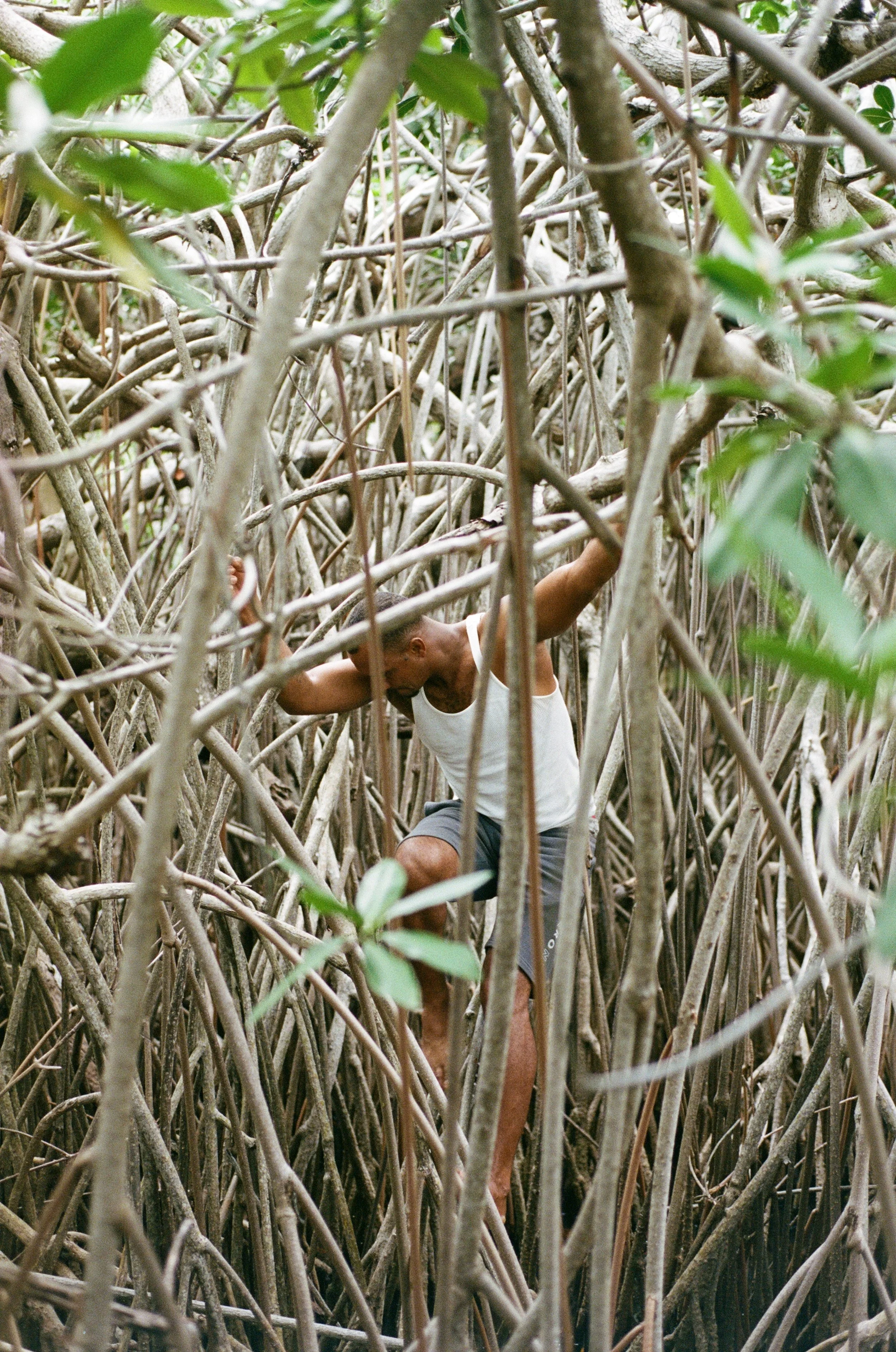 Kyle climbing down the mangrove trees of his childhood. 