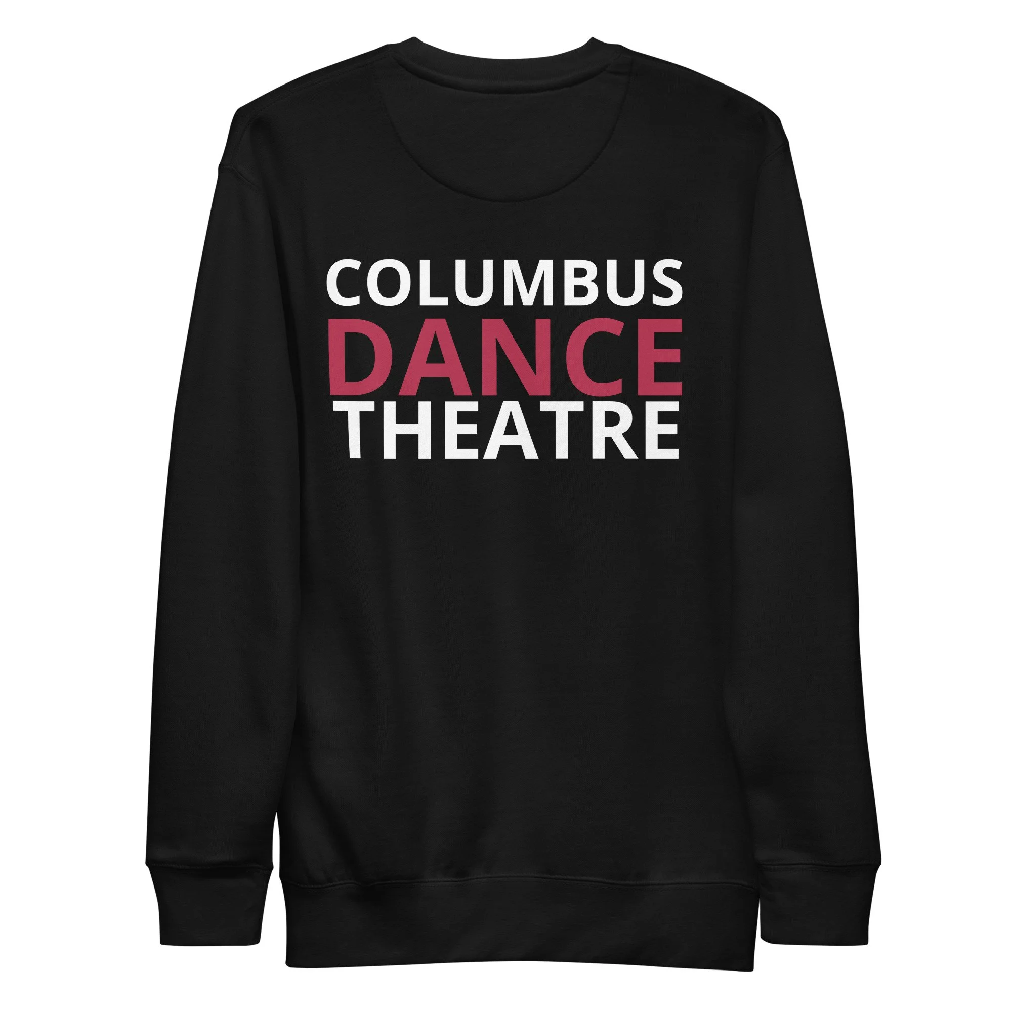 unisex-premium-sweatshirt-black-back-678bc6bb78223.jpg