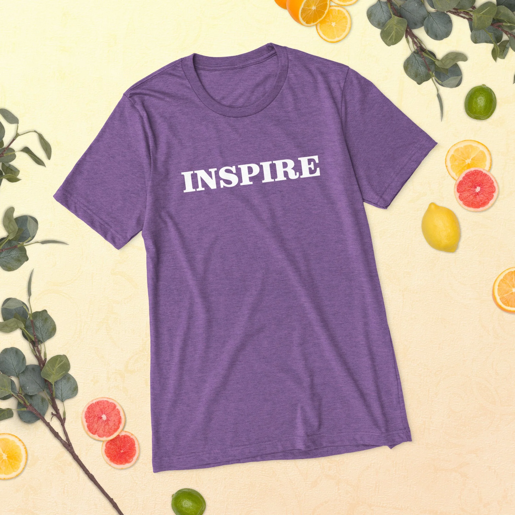 unisex-tri-blend-t-shirt-purple-triblend-front-68b9aae1022d4.jpg