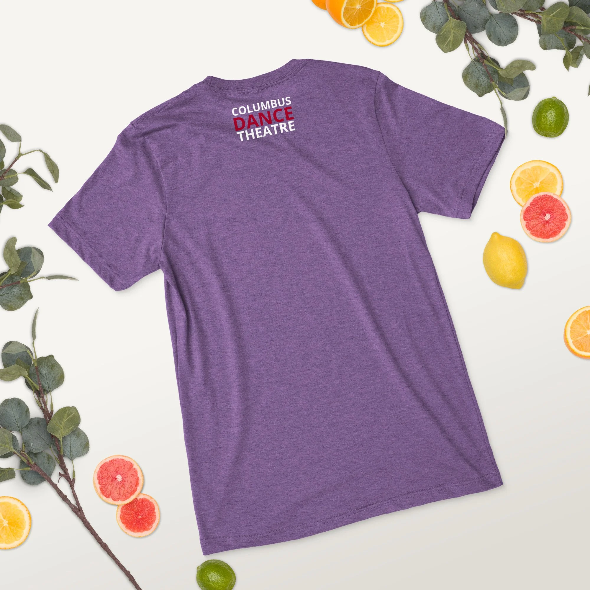 unisex-tri-blend-t-shirt-purple-triblend-back-2-68b9aae103acb.jpg