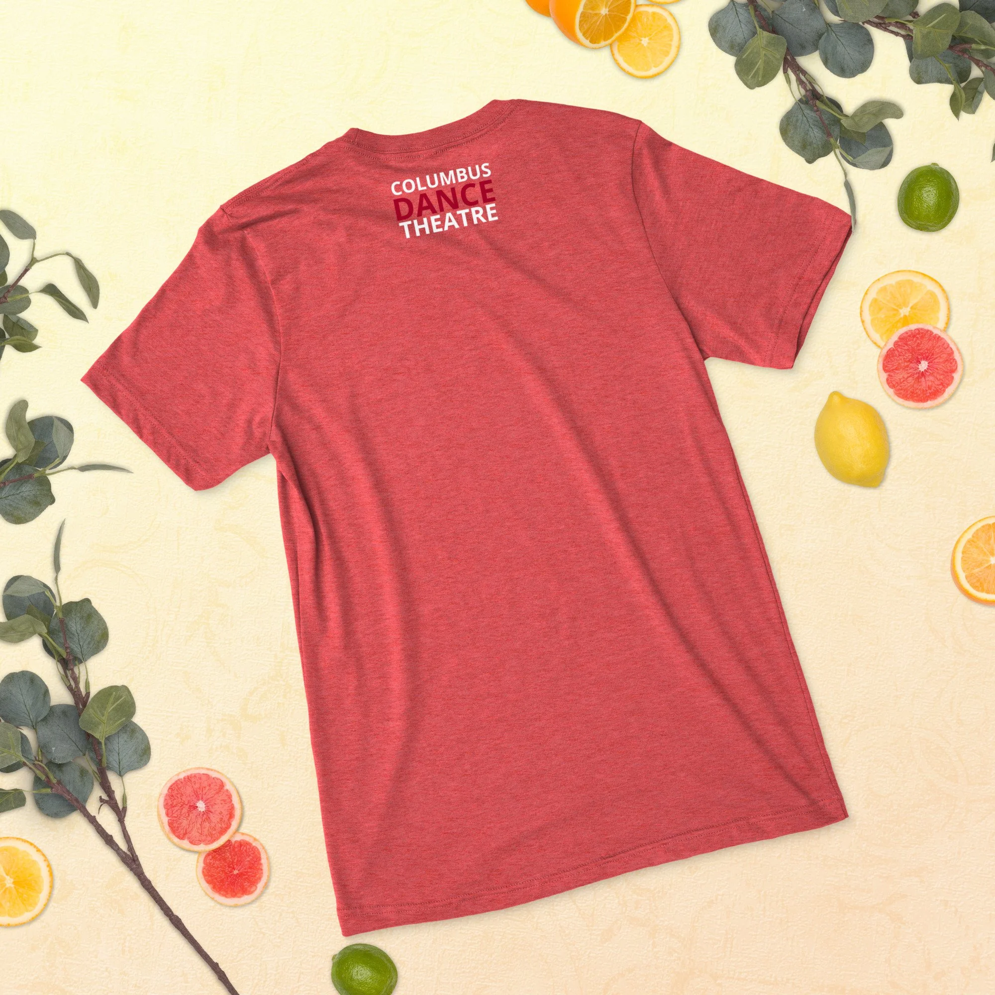 unisex-tri-blend-t-shirt-red-triblend-back-68b9aae107789.jpg