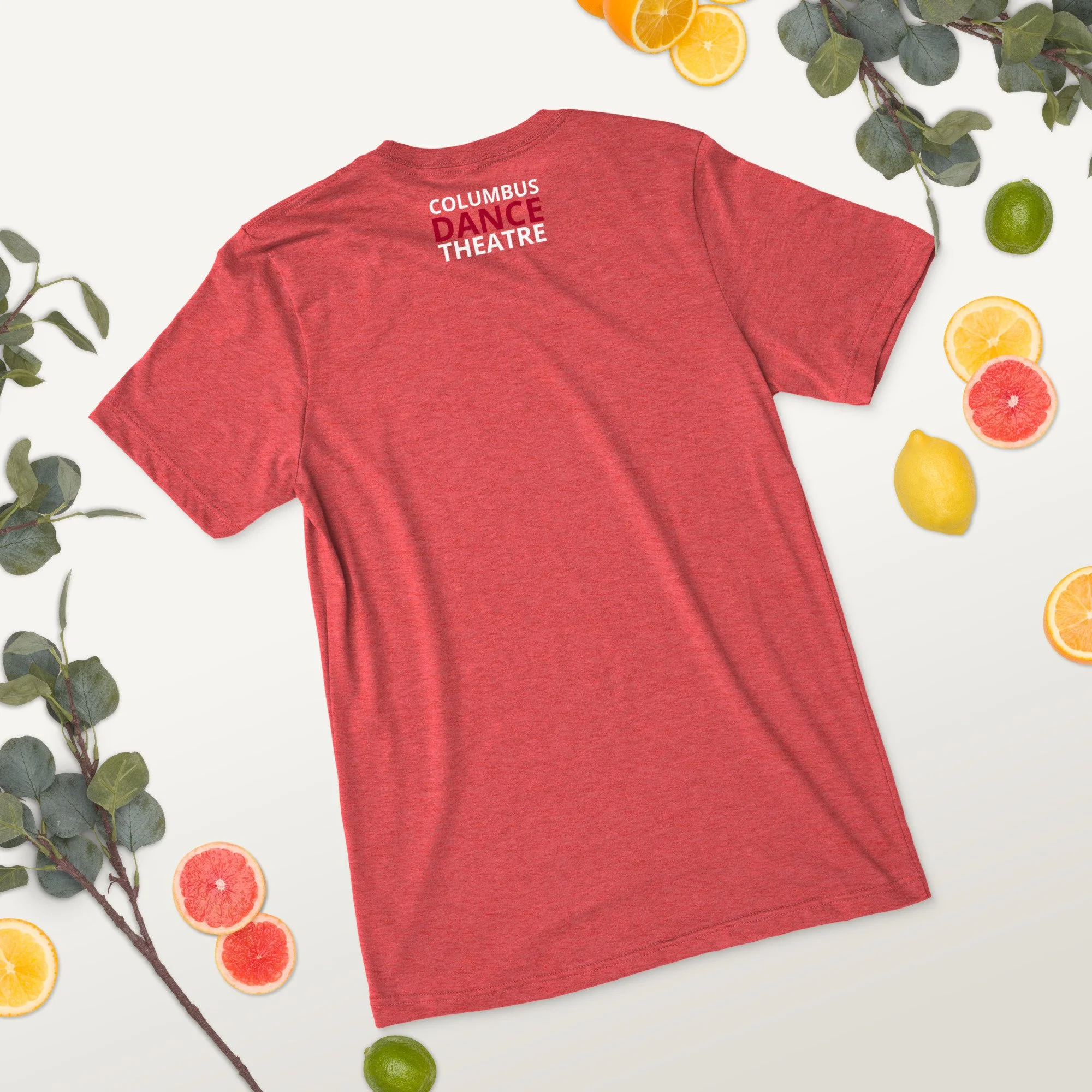unisex-tri-blend-t-shirt-red-triblend-back-2-68b9aae109400.jpg