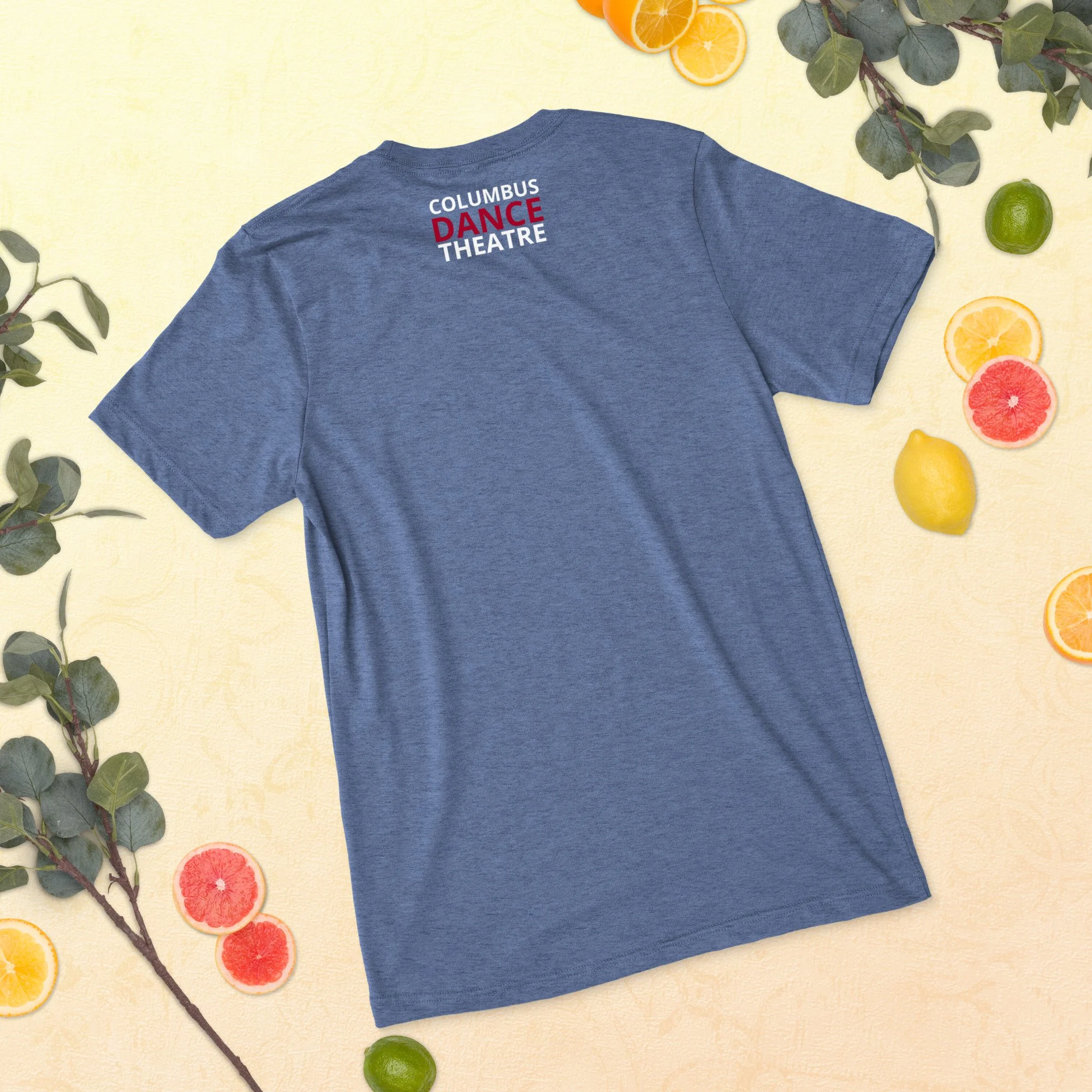 unisex-tri-blend-t-shirt-blue-triblend-back-68b9aae10ddf7.jpg