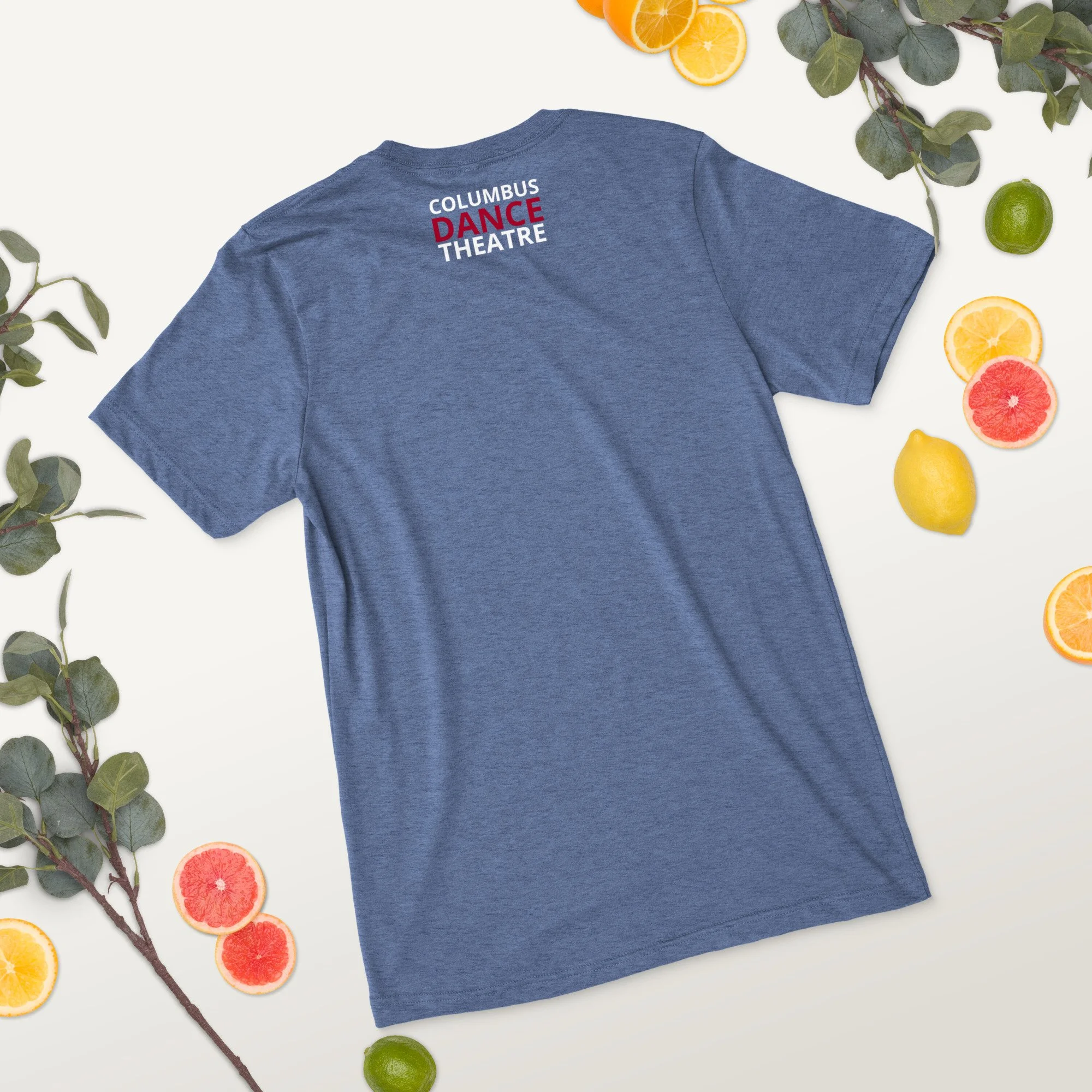 unisex-tri-blend-t-shirt-blue-triblend-back-2-68b9aae1105b1.jpg